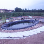 BioLago-10