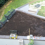 Giardino2