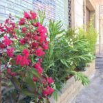 IMG-20180628-WA0016