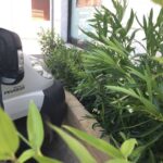 IMG-20180628-WA0025