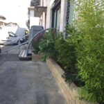 IMG-20180628-WA0028