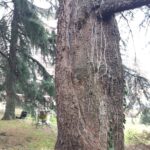 IMG-20190116-WA0008