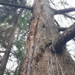 IMG-20190116-WA0009