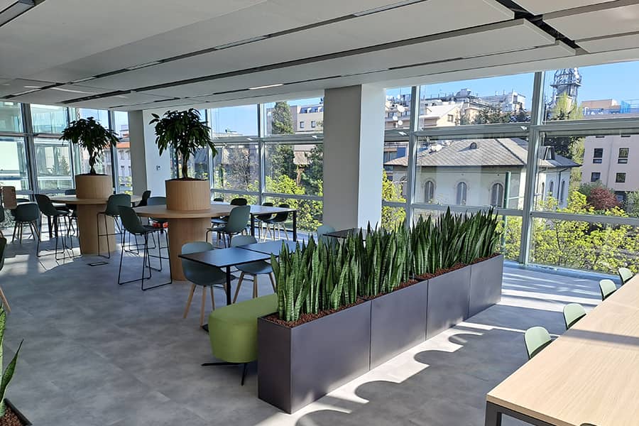 Ufficio moderno arredato con piante da interno, allestimento green progettato da SabGreen.
