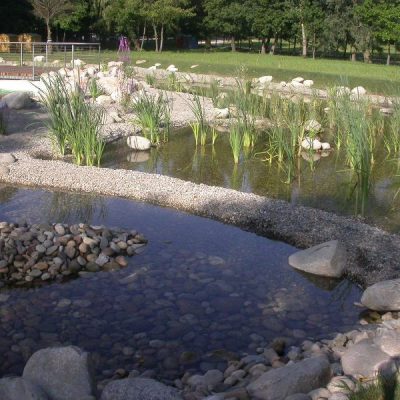 Biolago decorativo con giochi d'acqua naturali
