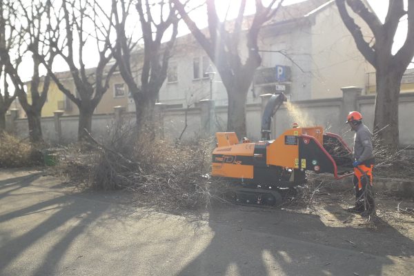 arboricoltura