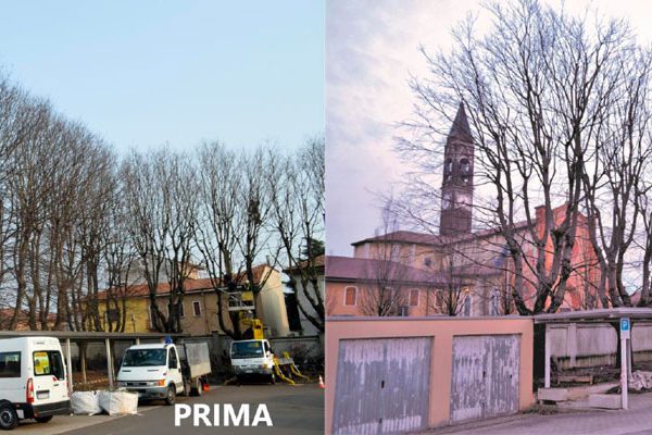 celtis-primeedopo_page-0001