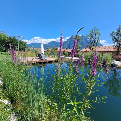 Biolago SabGreen in un parco privato, circondato da prato e alberi.