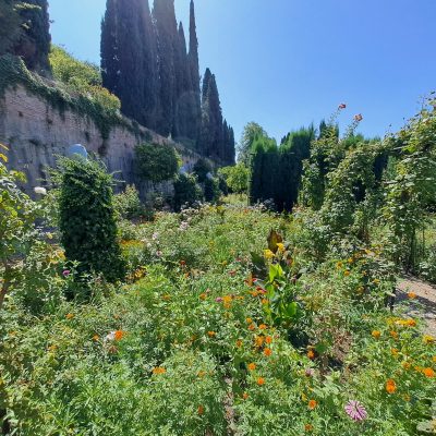 giardini4