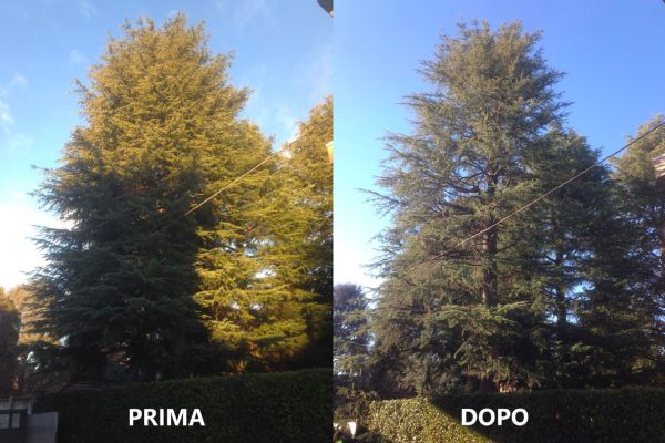 prima-e-dopo1_page-0001