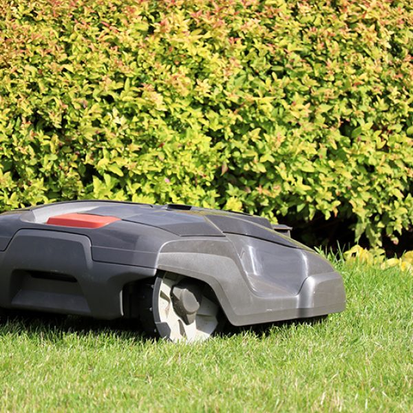 Robot lawn mower mowing grass on a meadow. Automower in summer p