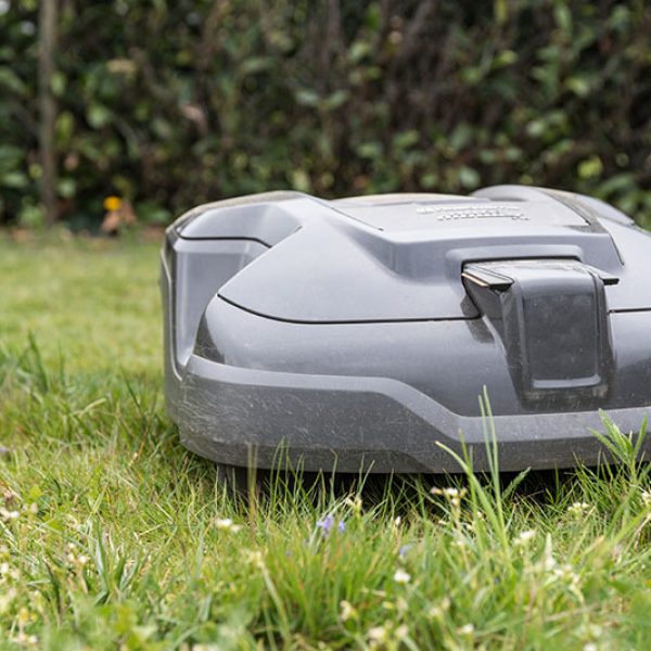 Mähroboter pflegt Rasen im Garten - Rasenroboter