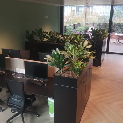 sabgreen-verde-per-interni-piante-verdi-per-interni-all-interno-di-un-area-di-lavoro