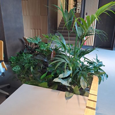 verde interni2